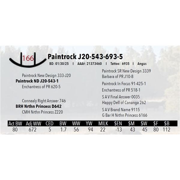 Paintrock J20-543-693-5