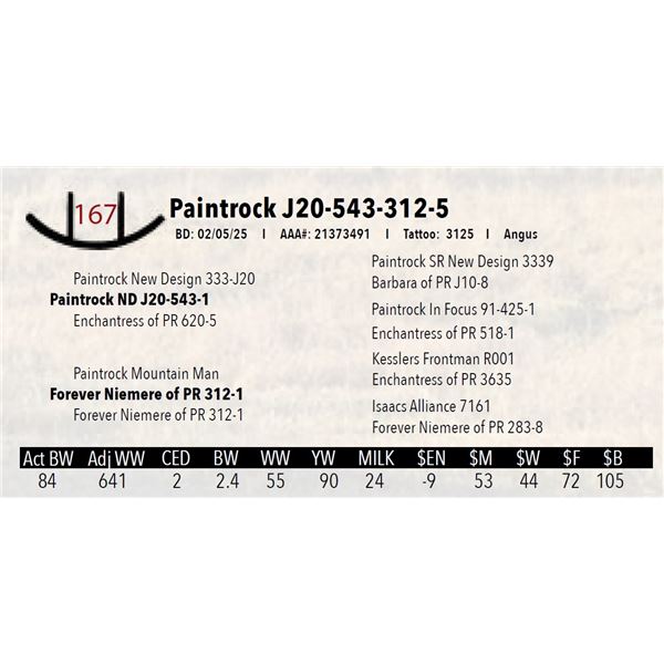 Paintrock J20-543-312-5