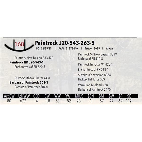 Paintrock J20-543-263-5