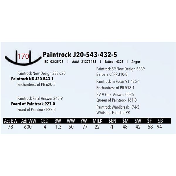 Paintrock J20-543-432-5