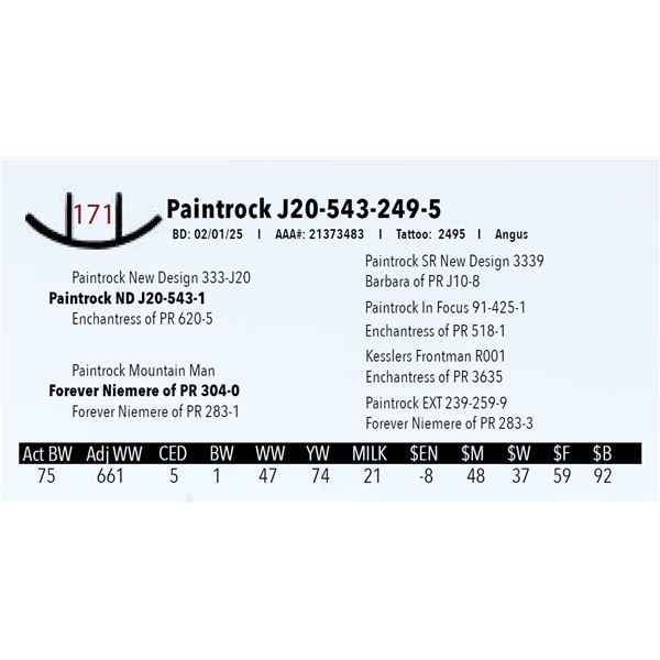 Paintrock J20-543-249-5