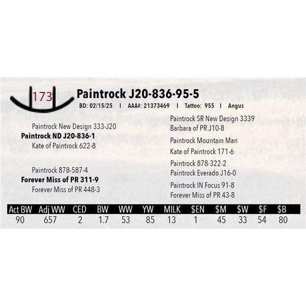 Paintrock J20-836-95-5