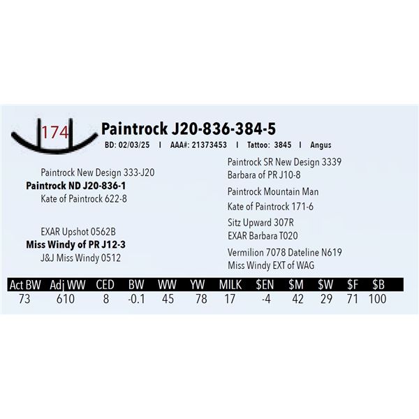 Paintrock J20-836-384-5