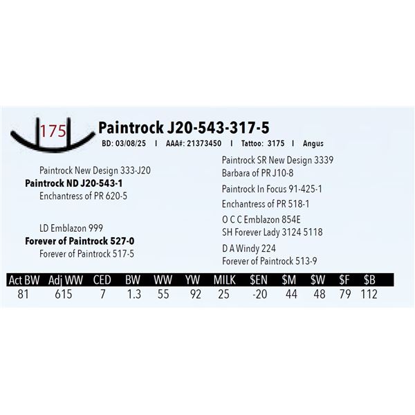 Paintrock J20-543-317-5