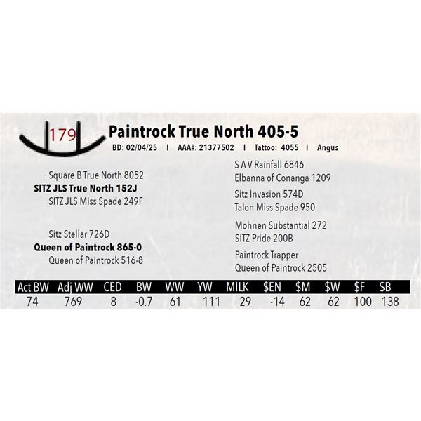 Paintrock True North 405-5
