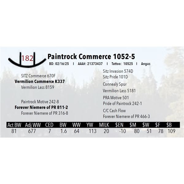 Paintrock Commerce 1052-5