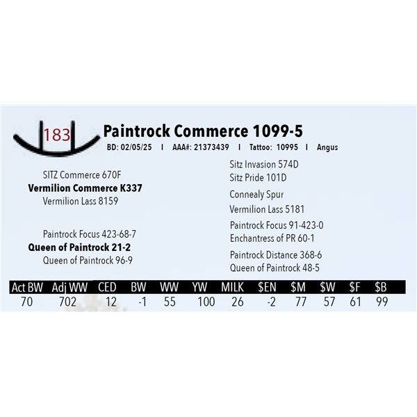 Paintrock Commerce 1099-5