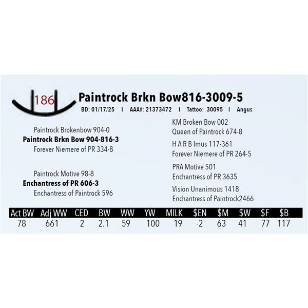 Paintrock Brkn Bow816-3009-5