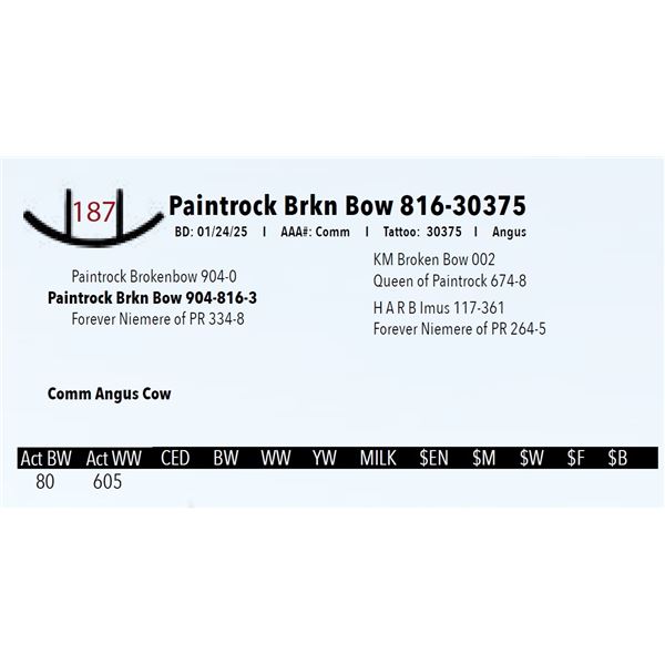 Paintrock Brkn Bow 816-30375