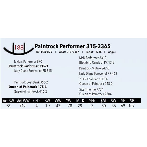 Paintrock Performer 315-2365