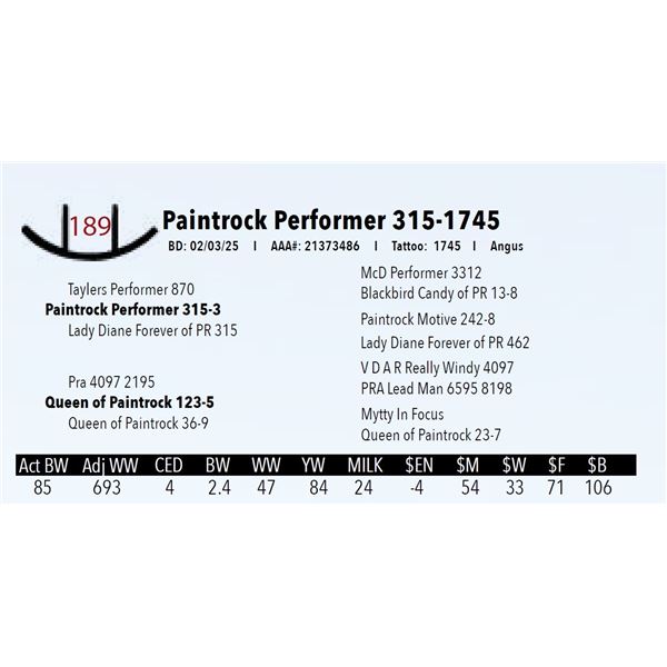 Paintrock Performer 315-1745