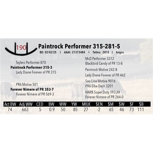 Paintrock Performer 315-2815