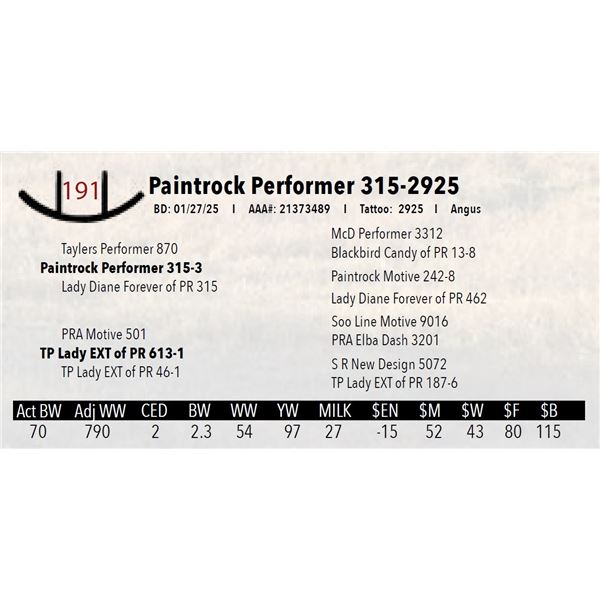 Paintrock Performer 315-2925
