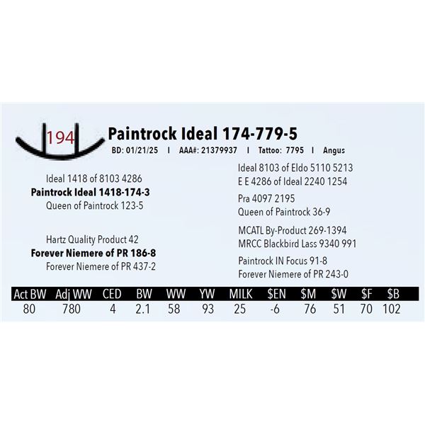 Paintrock Ideal 174-779-5