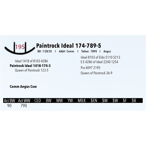 Paintrock Ideal 174-789-5