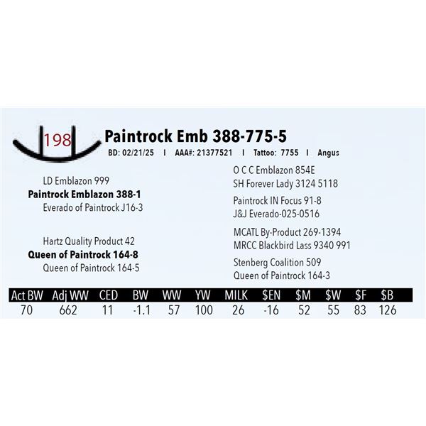 Paintrock Emb 388-775-5