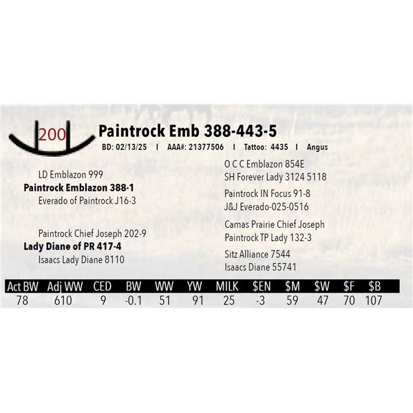 Paintrock Emb 388-443-5