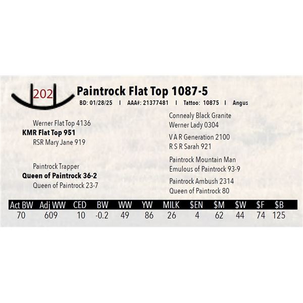 Paintrock Flat Top 1087-5