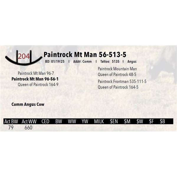 Paintrock Mt Man 56-513-5