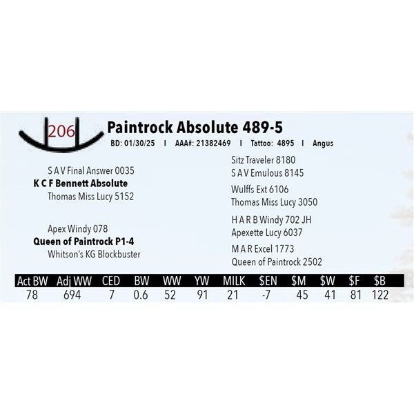 Paintrock Absolute 489-5