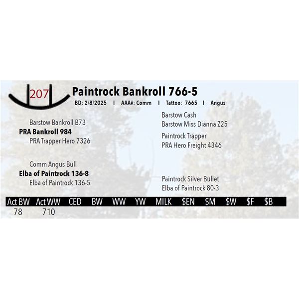 Paintrock Bankroll 766-5