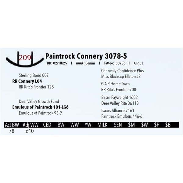 Paintrock Connery 3078-5