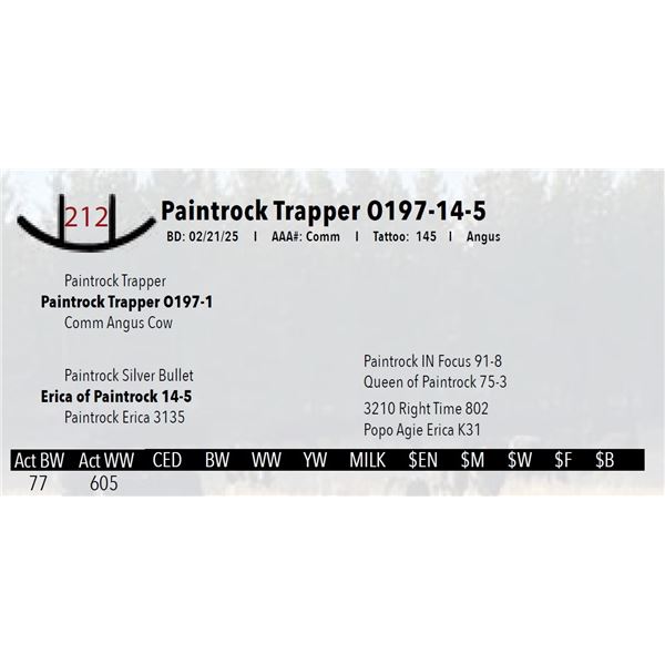 Paintrock Trapper O197-14-5