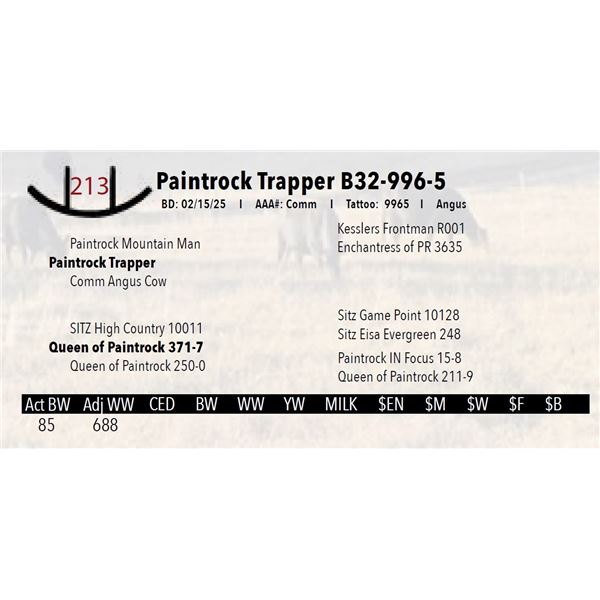 Paintrock Trapper B32-996-5