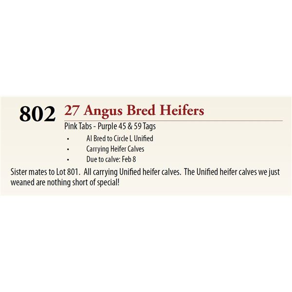 27 AI Bred Hfr Calf BRED HEIFERS