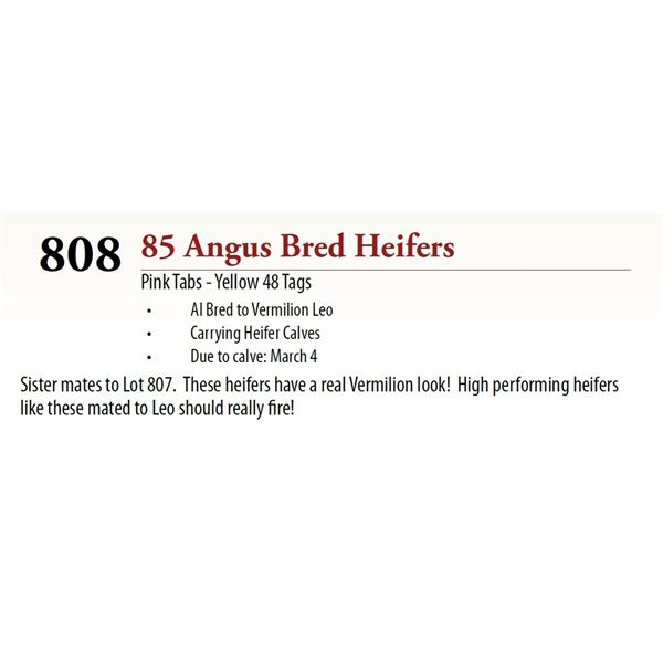 83 AI Bred Hfr Calf BRED HEIFERS
