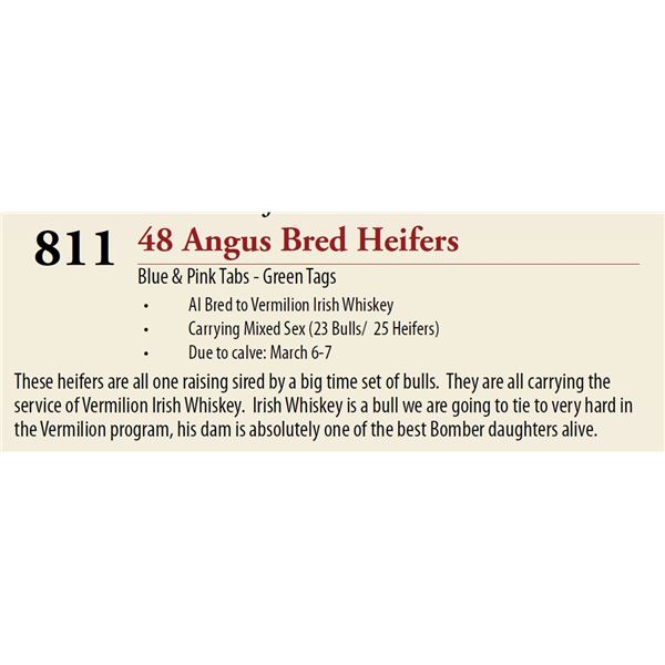 48 AI Bred Mixed Sex BRED HEIFERS