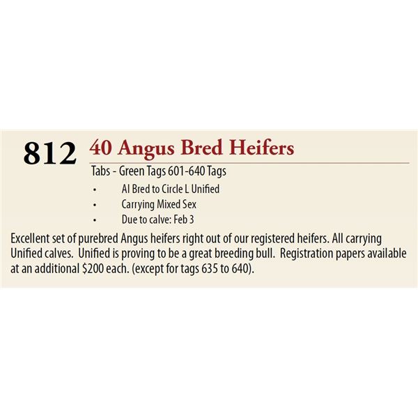 38 AI Bred Mixed Sex BRED HEIFERS