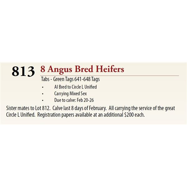 8 AI Bred Mixed Sex BRED HEIFERS