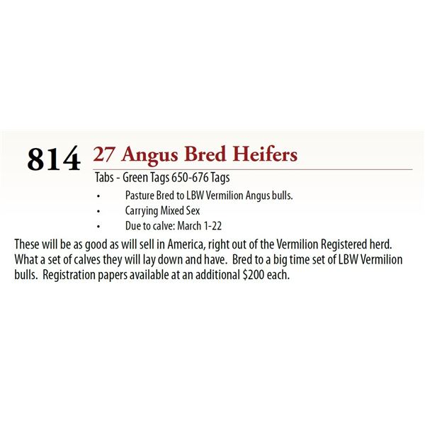 25 Pasture Bred Heifers