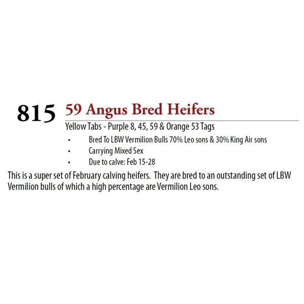 56 Pasture Bred Heifers