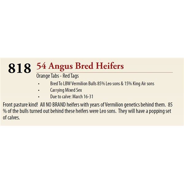 53 Pasture Bred Heifers