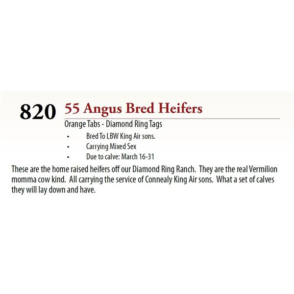 55 Pasture Bred Heifers