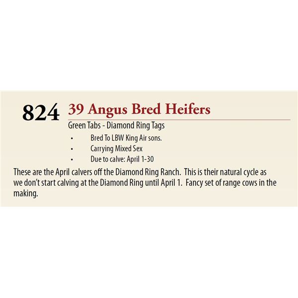 34 Pasture Bred Heifers