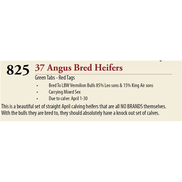 33 Pasture Bred Heifers