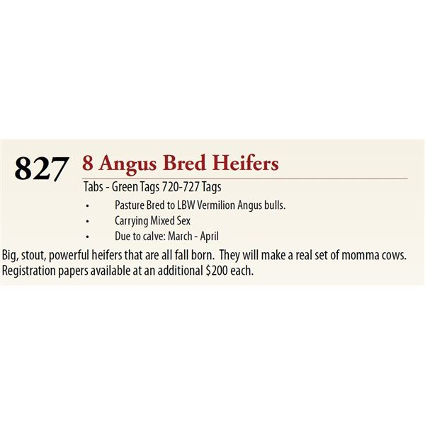 8 Pasture Bred Heifers
