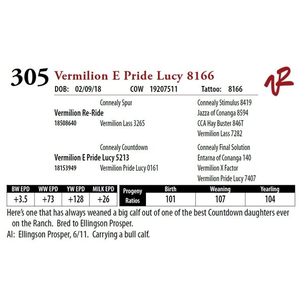 VERMILION E PRIDE LUCY 8166