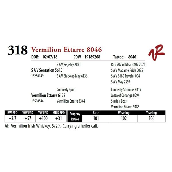 VERMILION ETTARRE 8046