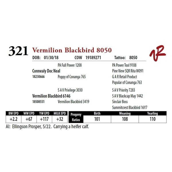 VERMILION BLACKBIRD 8050