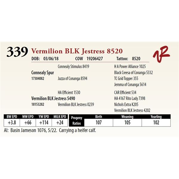 VERMILION BLK JESTRESS 8520