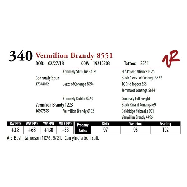 VERMILION BRANDY 8551