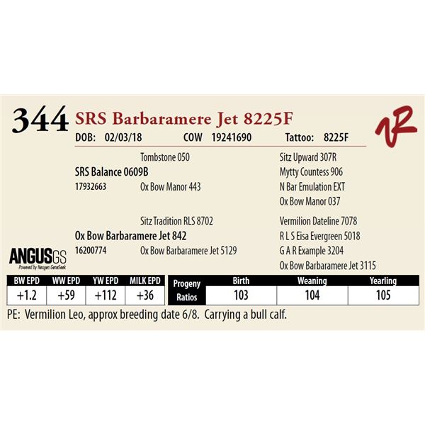 SRS BARBARAMERE JET 8225F