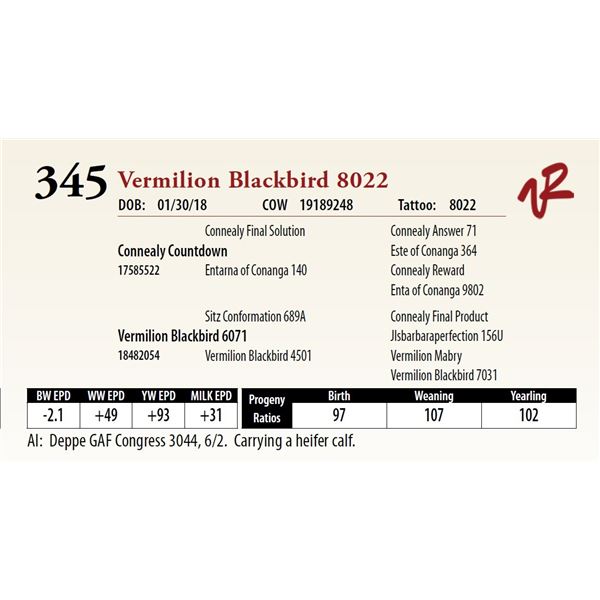 VERMILION BLACKBIRD 8022