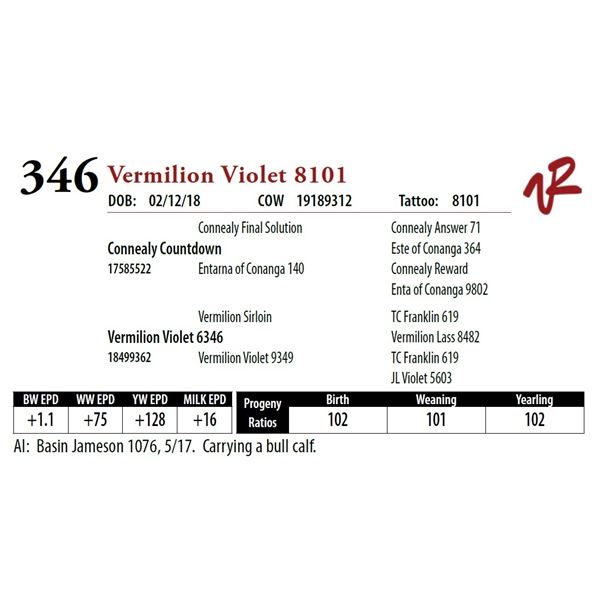 VERMILION VIOLET 8101