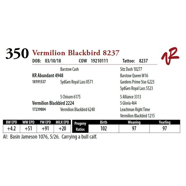 VERMILION BLACKBIRD 8237