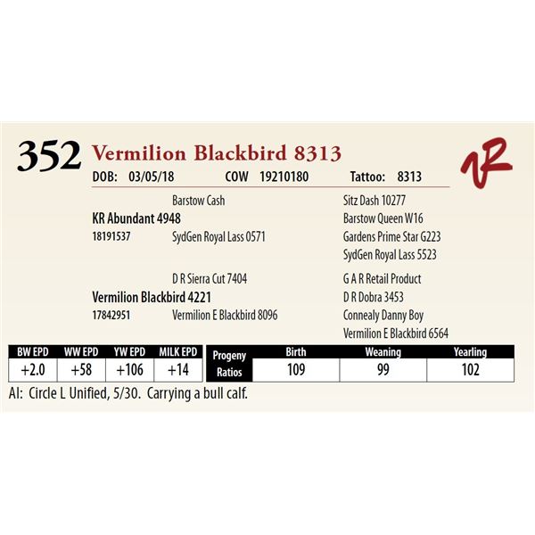 VERMILION BLACKBIRD 8313